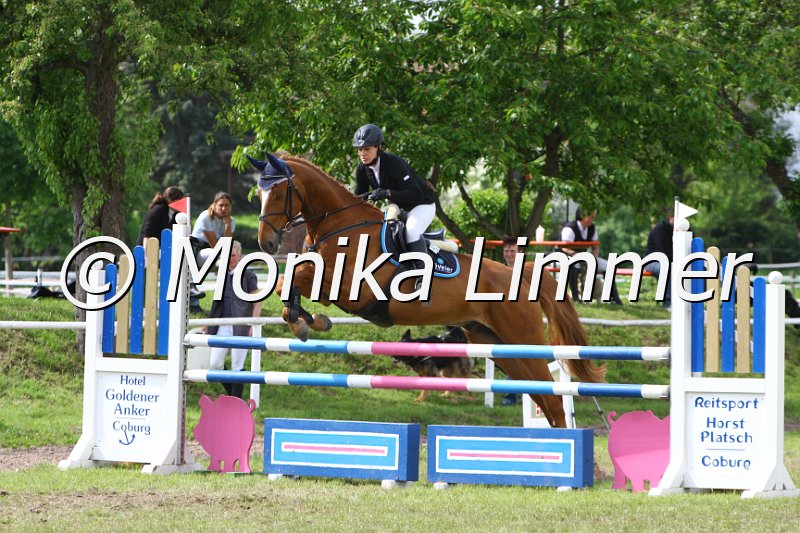 005M6518_Silvio B_Springpferde L.JPG
